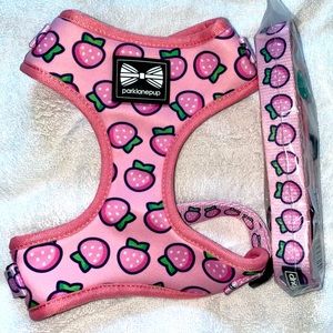 PARK LANE PUP • Strawberry Pink Harness + New Leash • UK Brand • Small